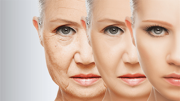 etapas do rexuvenecemento da pel facial